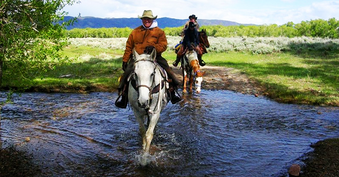 Literature & Landscape of the Horse Retreat