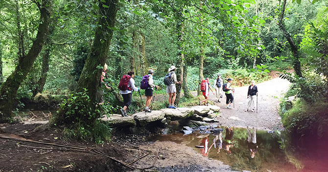 A Creative Pilgrimage on the Camino de Santiago