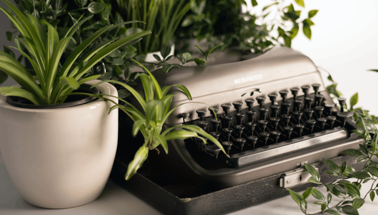 a typewriter surrounded by plants