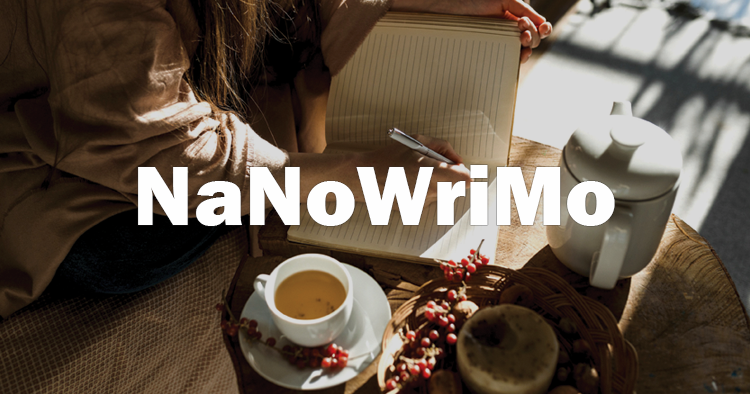 NaNoWriMo