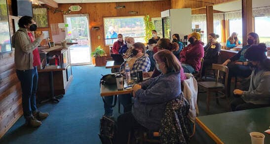The Rainforest Writers Village Retreat
