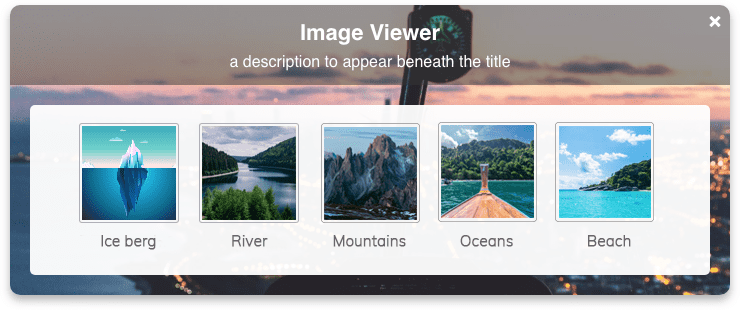 A screenshot of the Image Viewer mini-app.